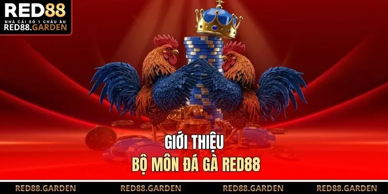 Giới thiệu bộ môn đá gà Red88